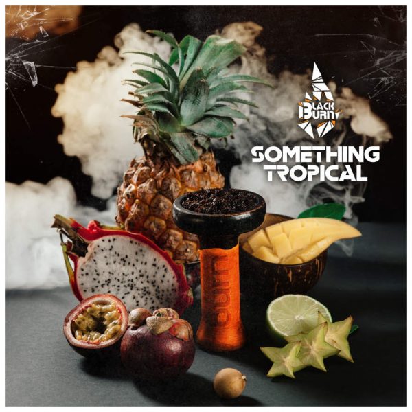 Табак для кальяна Black Burn - Something Tropical (Что-то Тропическое) 100гр фотография 2