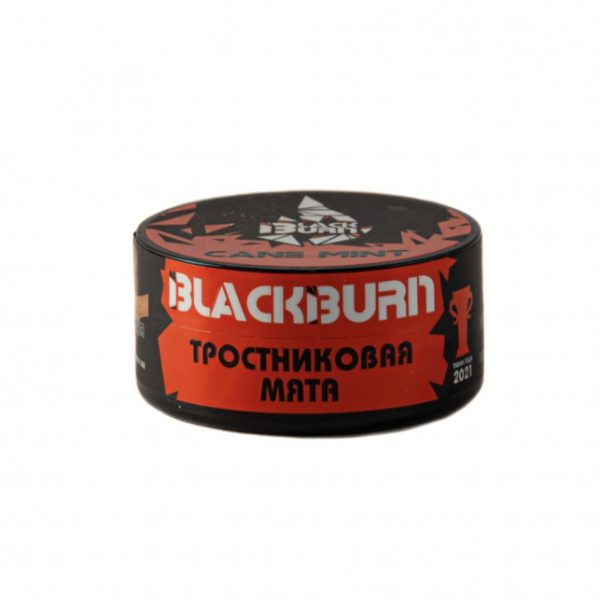 Табак для кальяна Black Burn — Cane Mint (Тростниковая мята) 25гр фото