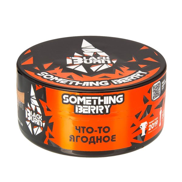 Табак для кальяна Black Burn  - Something Berry (Что-то ягодное) 100гр фото