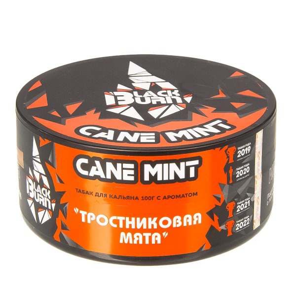 Табак для кальяна Black Burn - Cane Mint (Тростниковая мята) 100гр фото