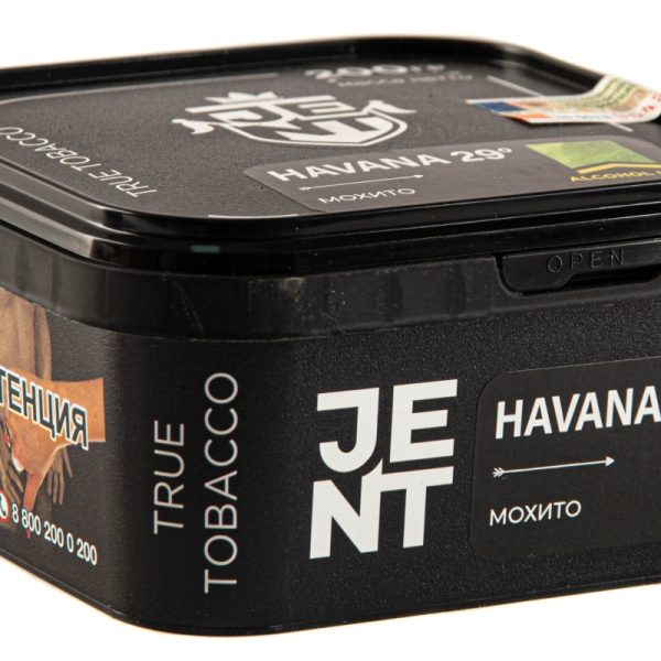 Табак для кальяна JENT - Havana 29 (Мохито) 200гр фото